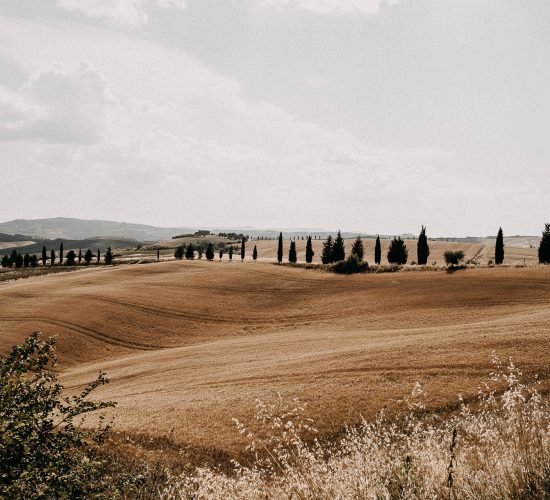 servizio fotografico e video in val d'orcia